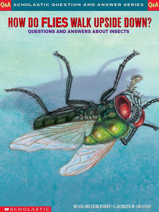 Title details for How Do Flies Walk Upside Down? by Melvin Berger - Available